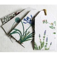 Growing Paper Blue In The Garden Tags 